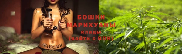 молекула духа Володарск