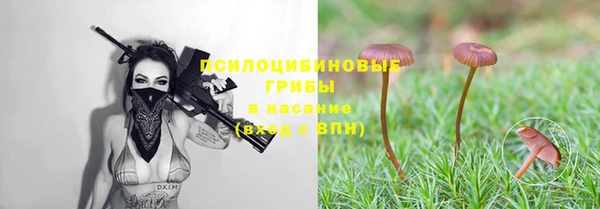 молекула духа Володарск