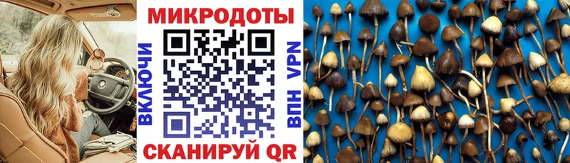 Псилоцибиновые грибы ЛСД  Звенигород 